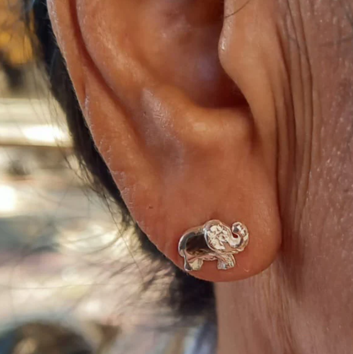 Abalone Elephant Studs - Sterling Silver