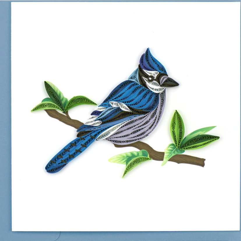 Blue Jay Card