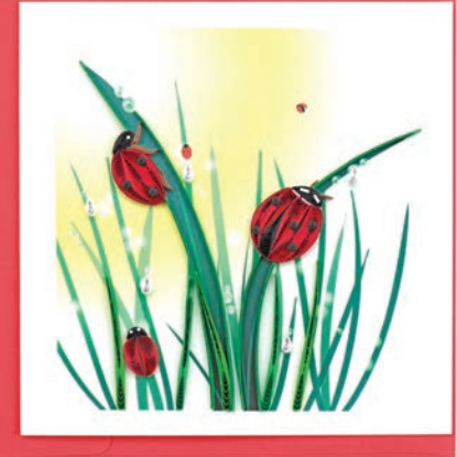 Ladybugs Card