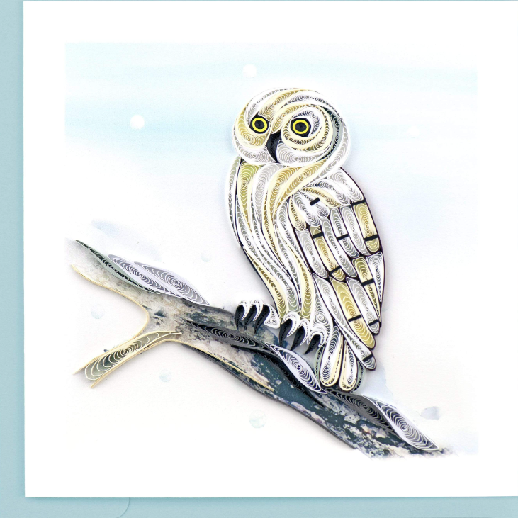 Snowy Owl Card