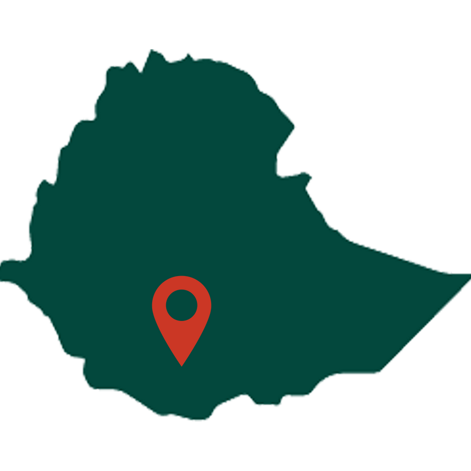 Yirgacheffe Mild Coffee