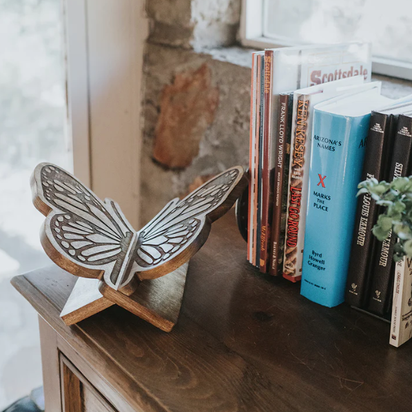 butterfly stand