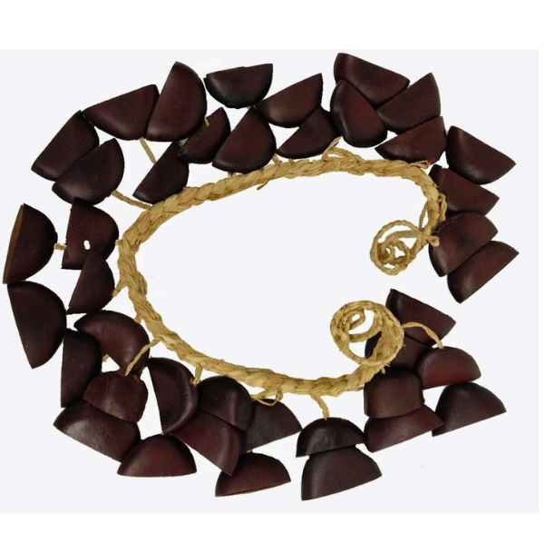 Juju Nut Waist Shaker