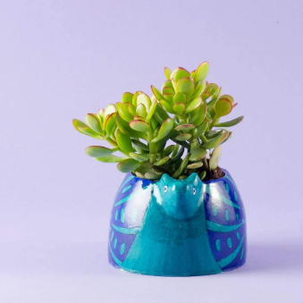 Lalita Terracotta Planter Blue Snail 6"x5"