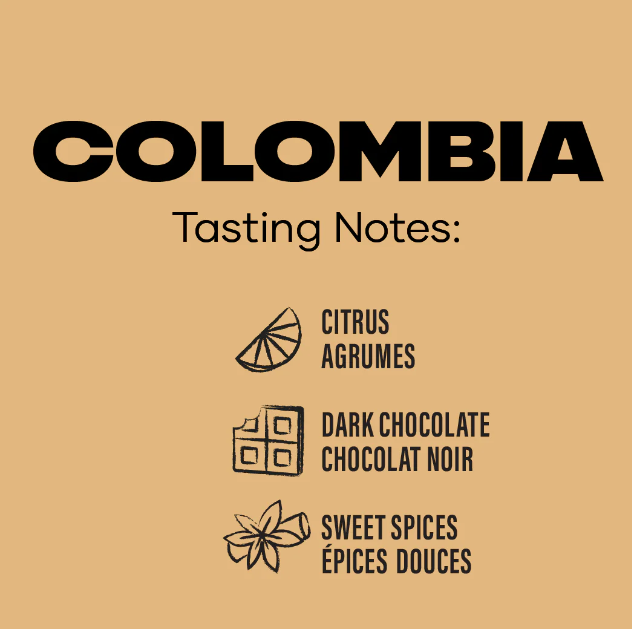Colombia Dark Coffee Bean (5lb Box)