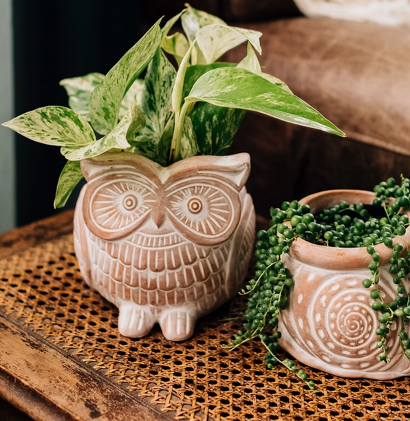 Handcrafted Planter Owl