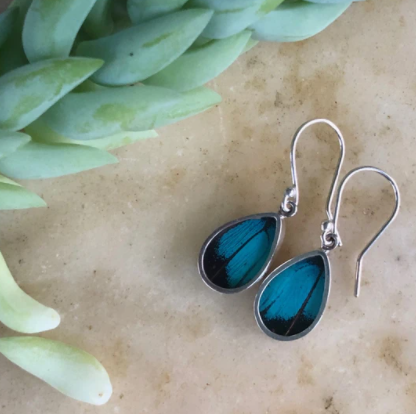 Butterfly Earrings Prepona