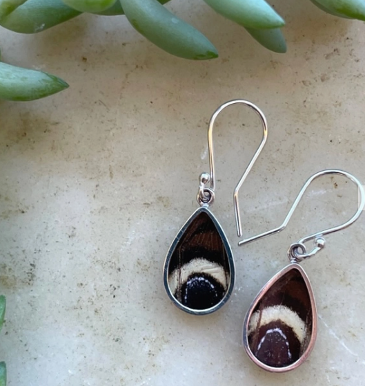 Idomeneus Giant Owl Earrings