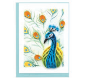 Peacock Gift Enclosure Card