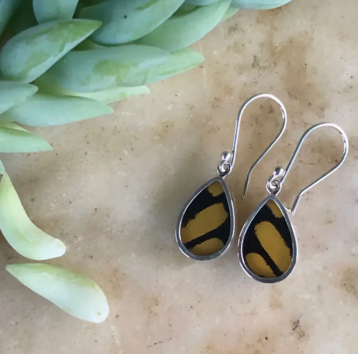 Butterfly Earrings King Swallowtail