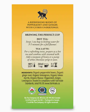 Ginger Mint Organic Herbal Tea 16ct