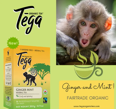 Ginger Mint Organic Herbal Tea 16ct