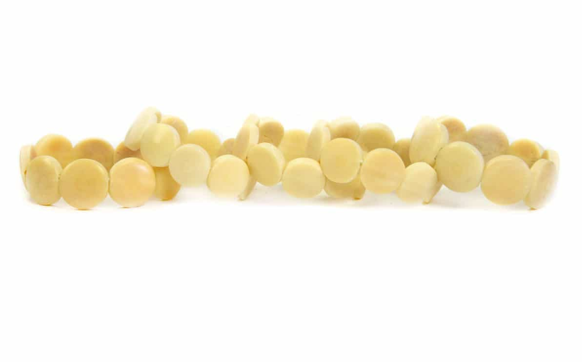 Tagua Round Disc Bracelet