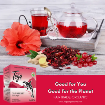Organic Cranberry Ginger Herbal Tea 10ct