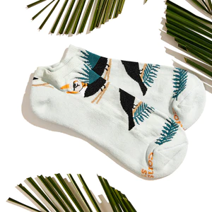 Ankle Socks that Protect Toucans