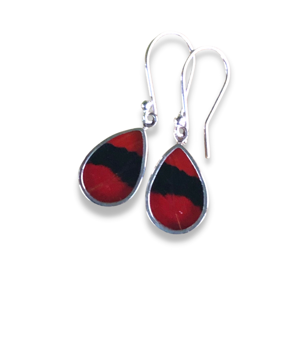 Butterfly Earrings BD