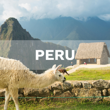 Peru Vendor