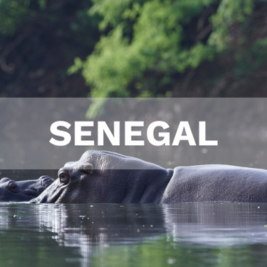 Senegal
