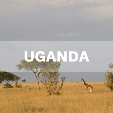 Uganda