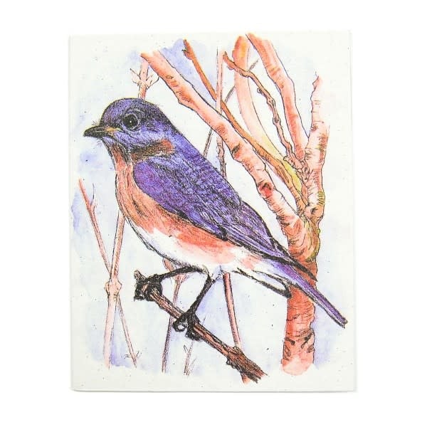 Bluebird Greeting Card