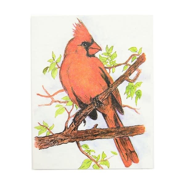 Cardinal Greeting Card