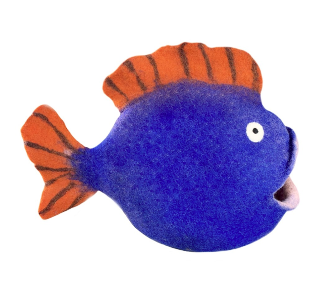 Cat Cave Fish