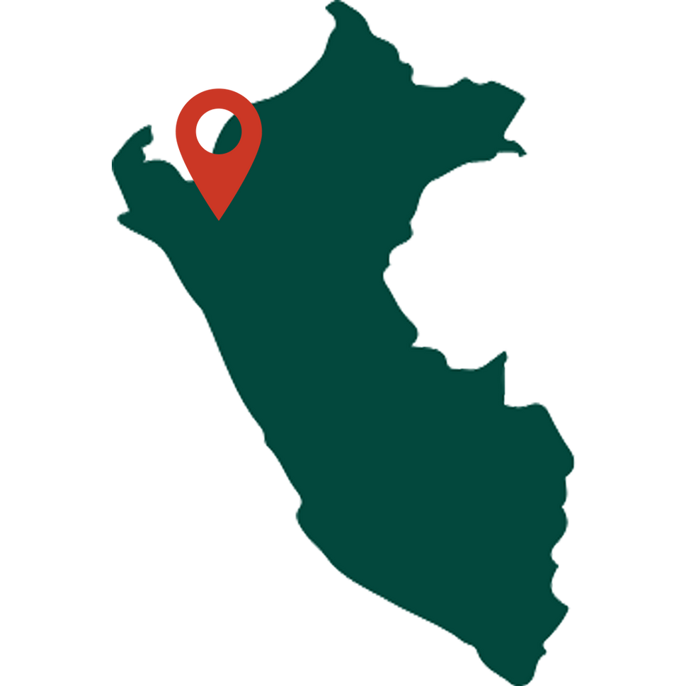 Peru Chasqui Mild Coffee