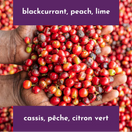 Switch Neon Coffee Kianjogu AA 250g 2 image
