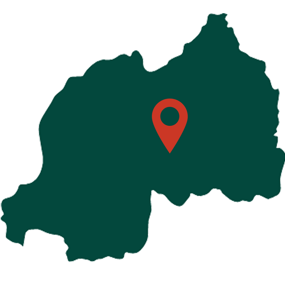 Rwanda Kigayo Bold Coffee