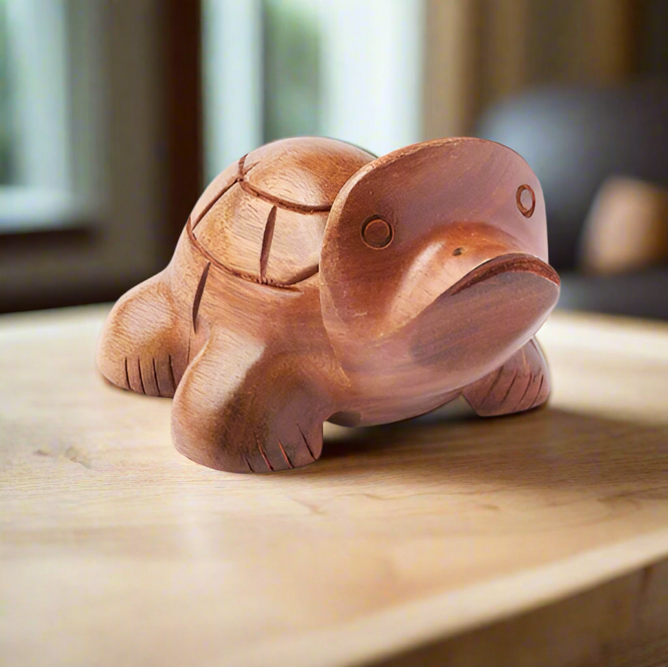 Turtle Eyeglasses Holder
