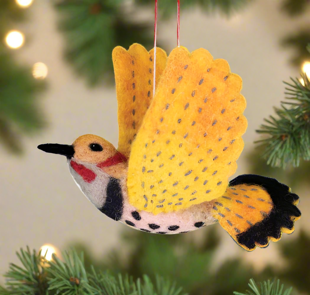 northern flicker bird ornament