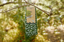 Switch Green socks with leaf pattern hanging on a branch with a 'conscious step' label. 2 image