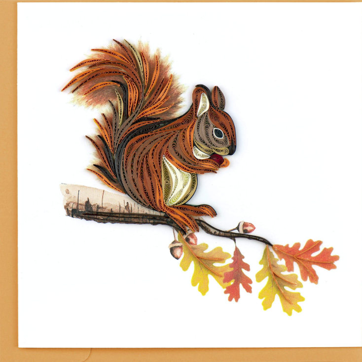 Squirrel Greeting Card
