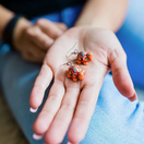featured