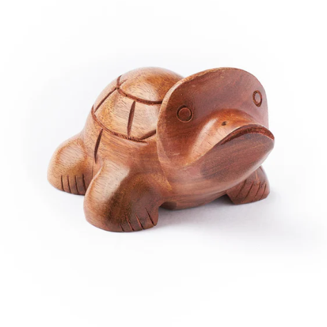 Turtle Eyeglasses Holder