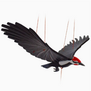 Switch Woodpecker Bird Flying Mobile Flying 2 image