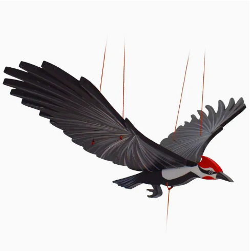 Woodpecker Bird Flying Mobile Flying