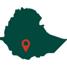 Switch Yirgacheffe Mild Coffee Location 3 image