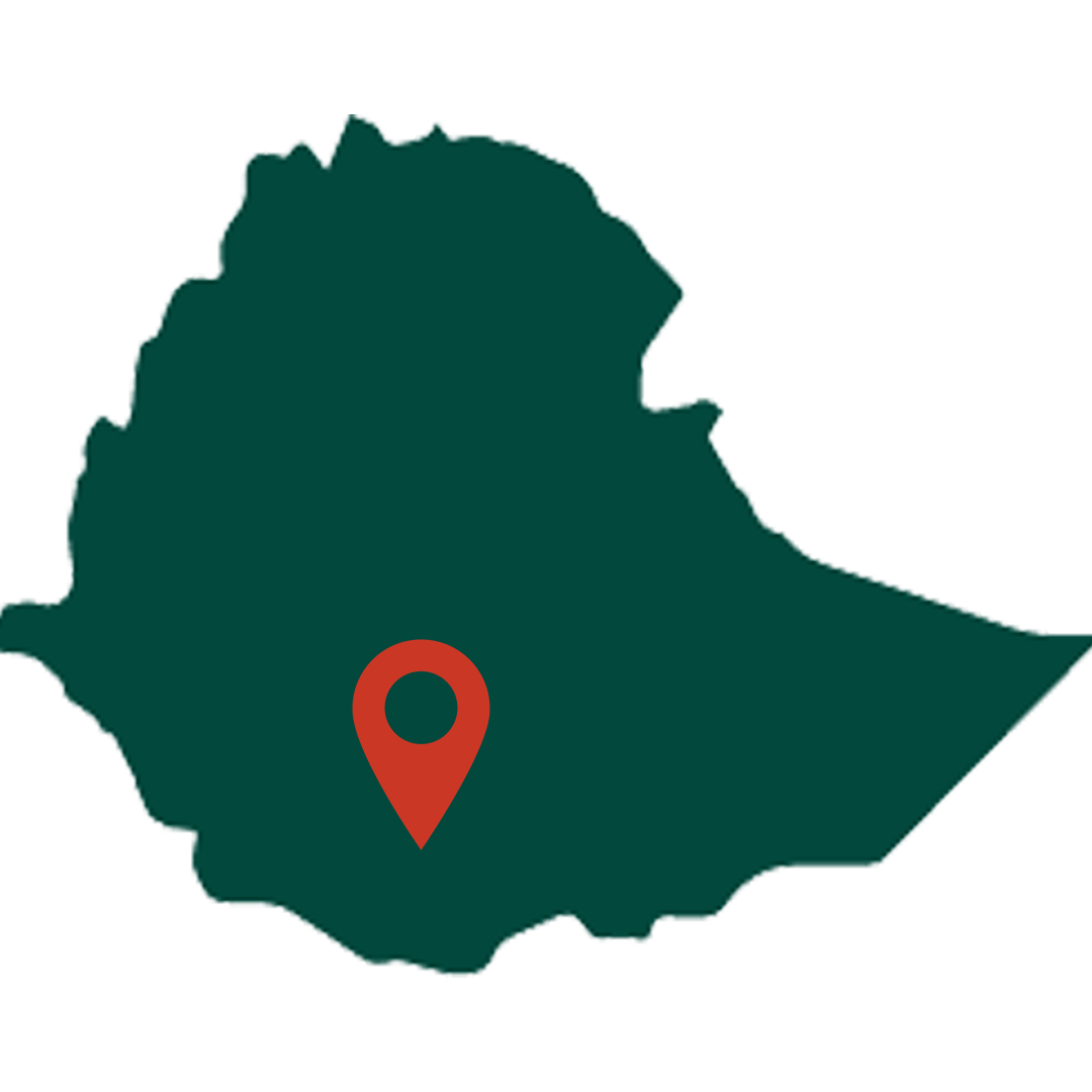 Yirgacheffe Mild Coffee Location