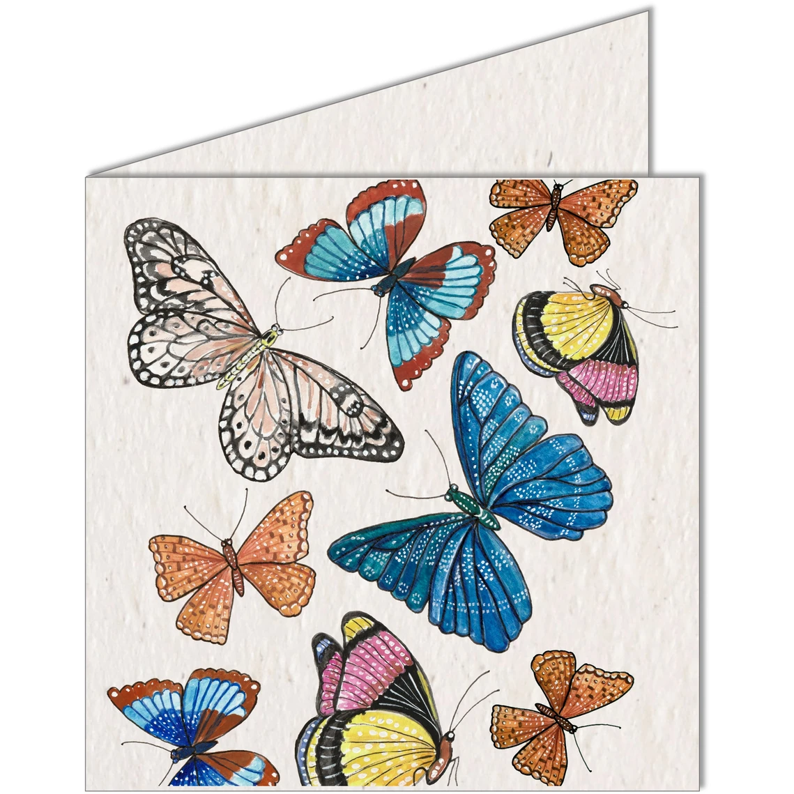 Growing Butterflies Seed Card