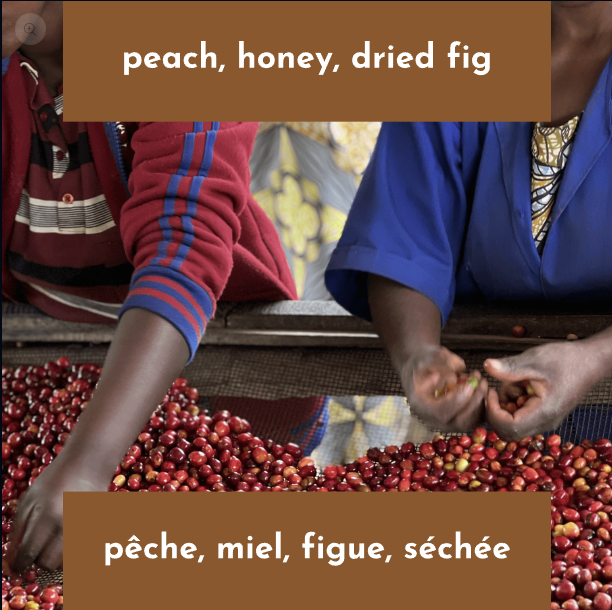 Neon Coffee 250 gr Rwanda - Washed