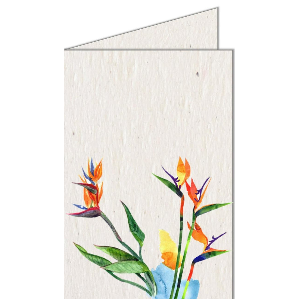 Bird of Paradise Seed Card