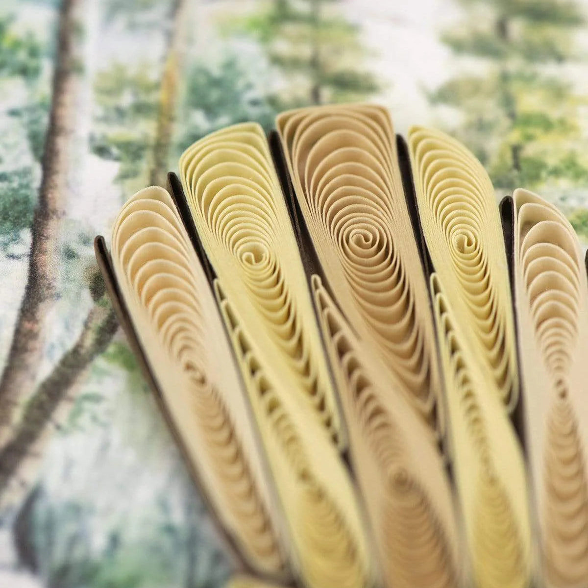 Folded paper with wavy edges against a blurred natural background