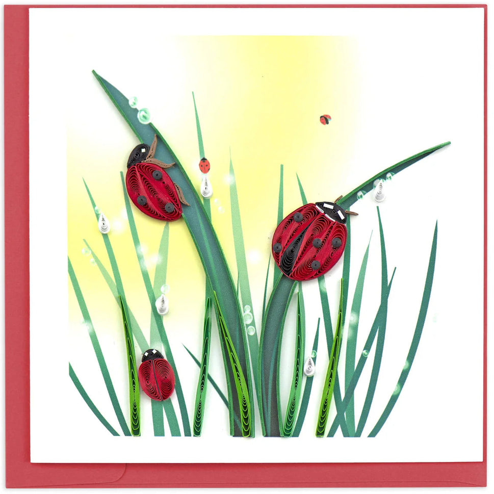Quilled Ladybug Greeting Card