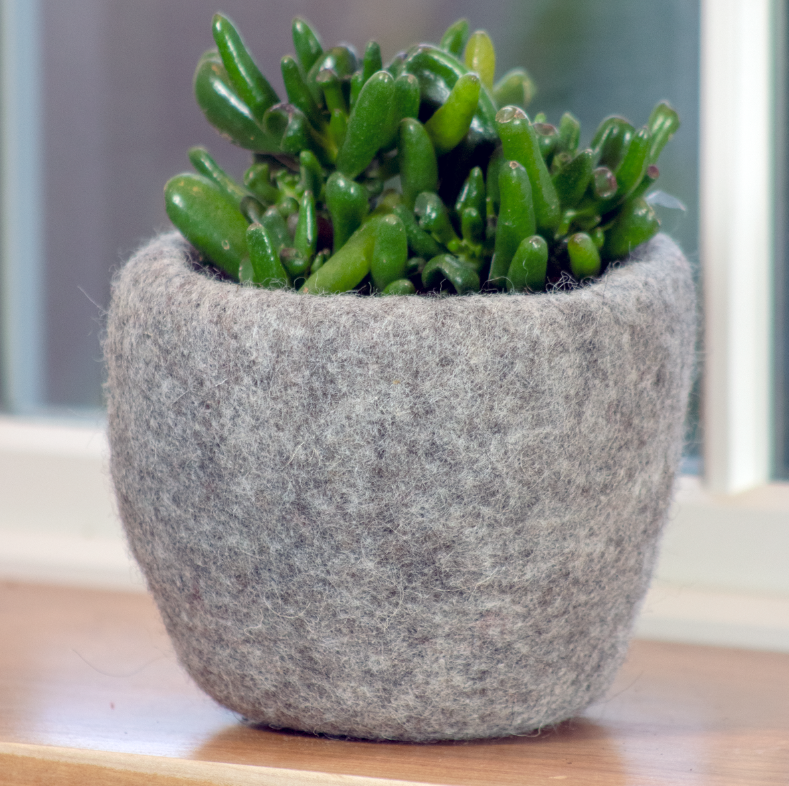 Felt Planter - Cozy Steel