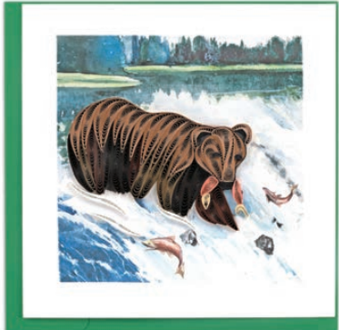 Wild Grizzly Bear Card