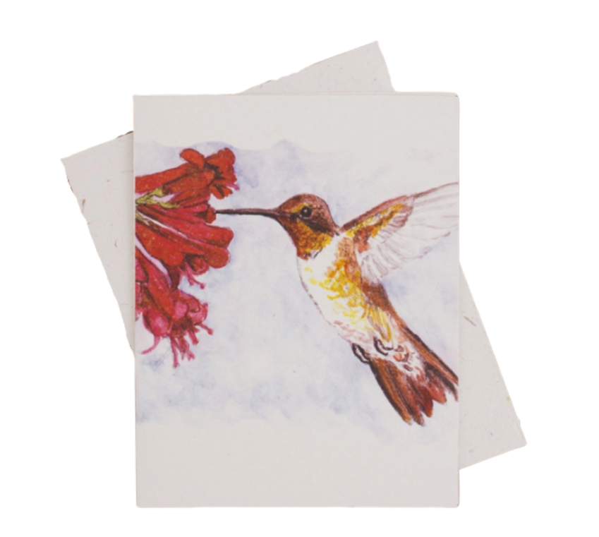 Hummingbird Greeting Card