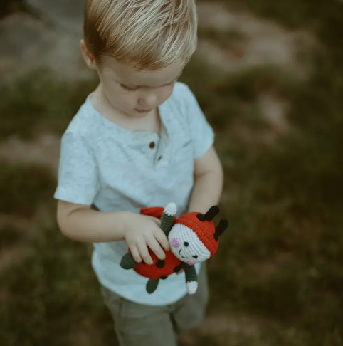 Lady Bird Rattle