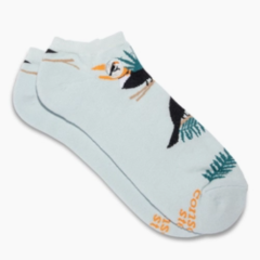 Ankle Socks that Protect Toucans