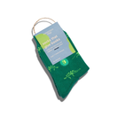 Switch Kids Socks that Give Books (Green Dinosaurs) Preschool 2 image